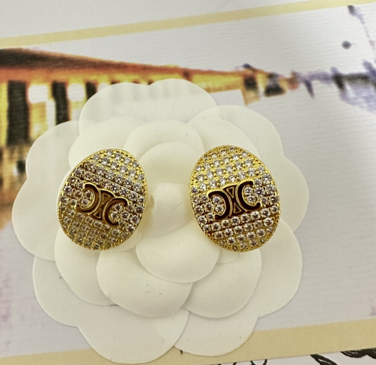 V Elegant Earrings