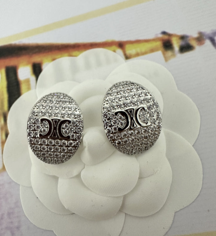 V Elegant Earrings